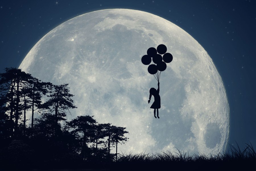 K121-Foto-Paula-Daniëlse